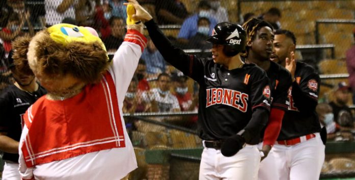 LEONES VICTORIA ANTE TOROS