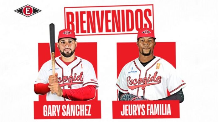 GARY SANCHEZ LEONES DEL ESCOGIDO